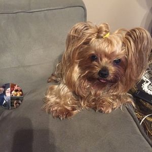 Meet your Posher, Jakub